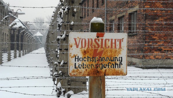 СМИ о церемонии в Освенциме: освобождал СССР
