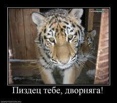 Колбаски с сыром