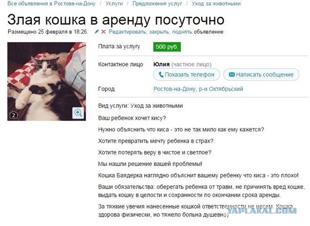 Злые киски