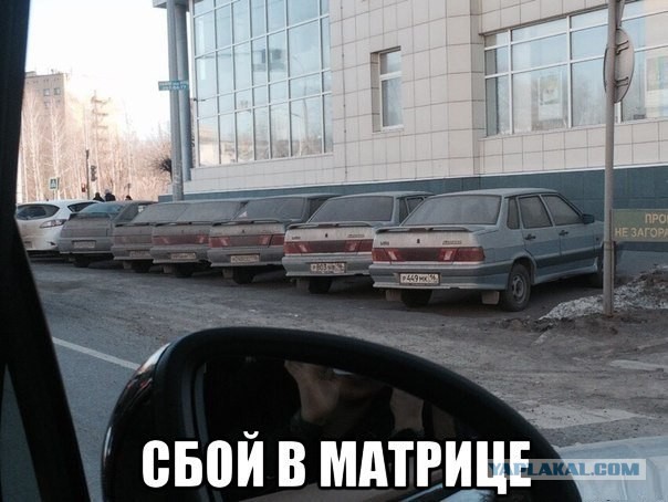 Для улыбок с утра