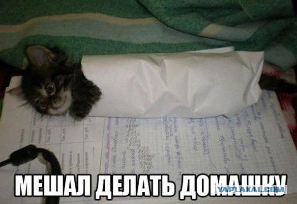 Немного картинок с просторов