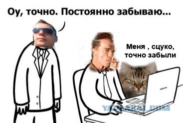 Работать, живо!