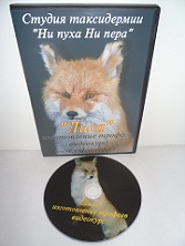 Чучело лисы