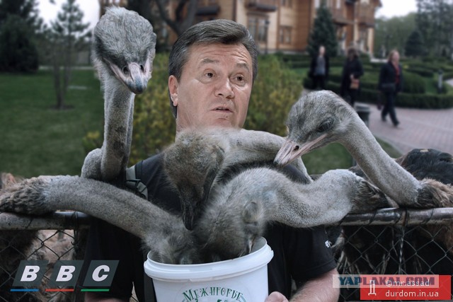 Янукович на BBC