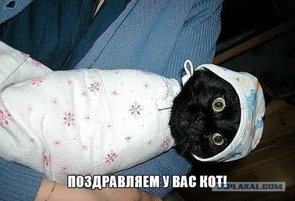 Картинки из инета