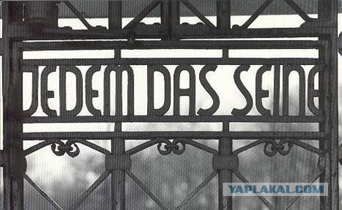 Красота требует жертв