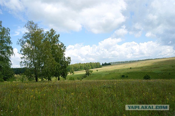 Небольшая дверь в Лето!
