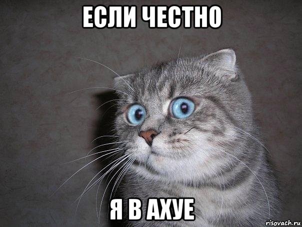 Глибби