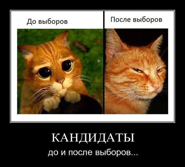 Дмитрий Потапенко - в министры экономики такого!