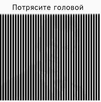 Пучок смешных картинок