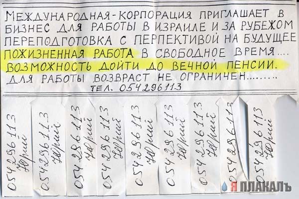 ОБЪЯВЛЕНИЯ. На стенах, в газетах, афиши.