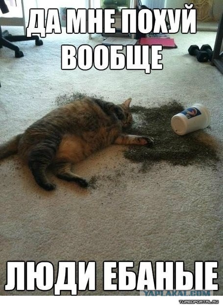 Подборка Картинок из сети
