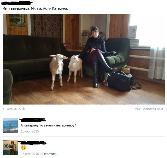 Смешные комментарии из социальных сетей 05.02.2016