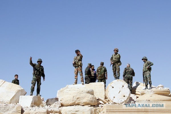 «Аллигатор» против ИГ