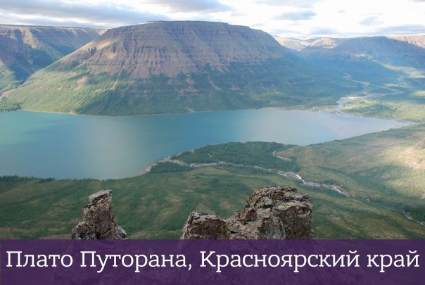 Интересные и веселые картинки