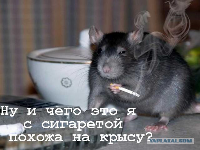 Подборка интересных и веселых фото