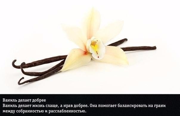 Подборка "тёплых уютных домашних" фотографий, часть 6