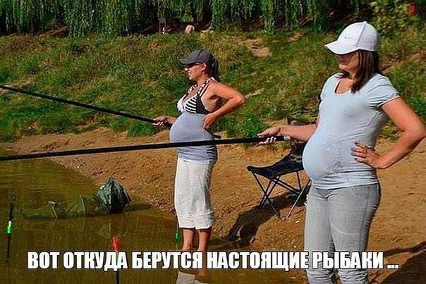 Порция картинок из сети