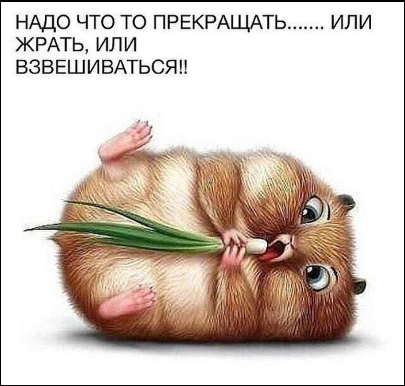 Жизнь как она есть 2