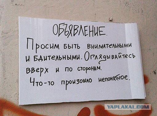 Воскресные COUBы