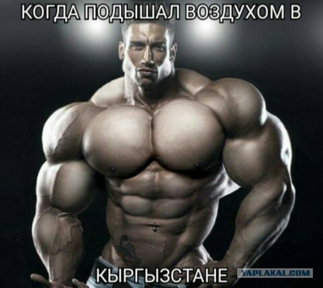 Веселье тёмной стороны