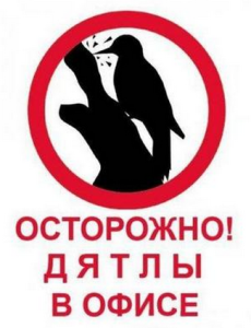 Как я стал крысой