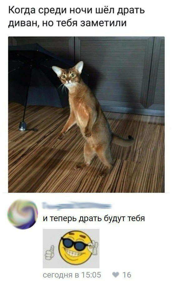 Нестандартный юмор