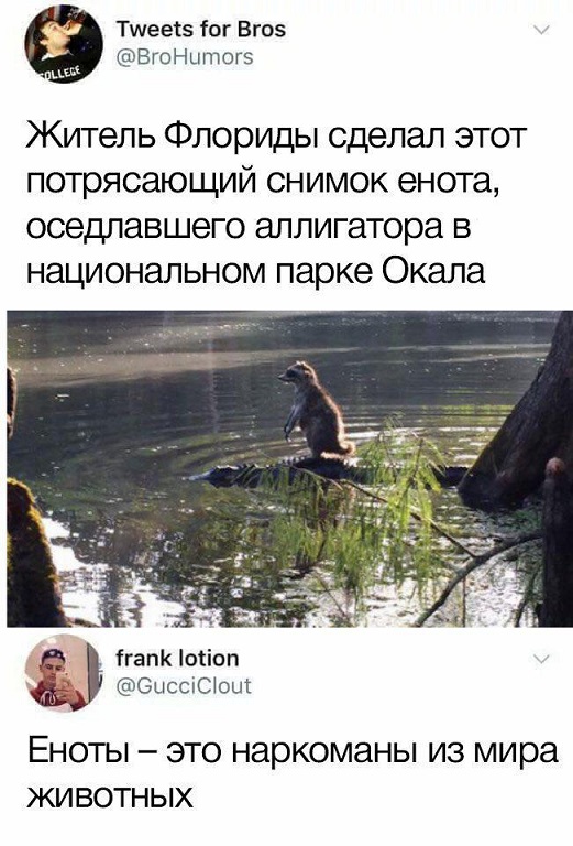 Прикольные комментарии и высказывания из Сети