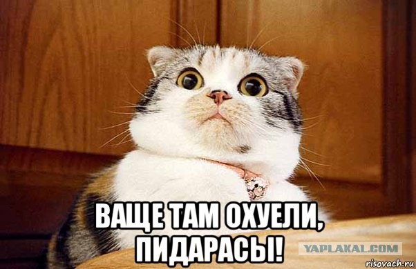 Российскую школу ждет платное среднее образование
