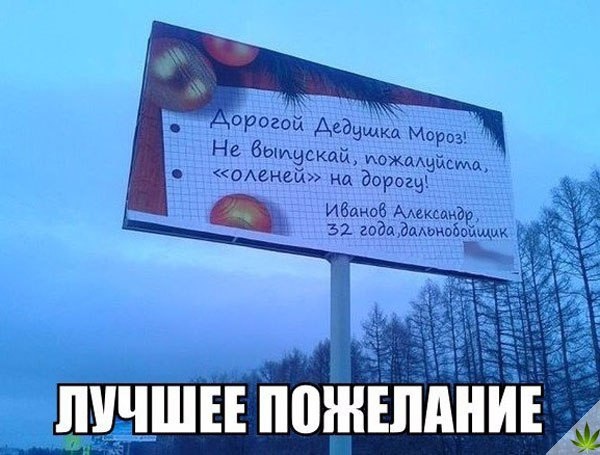 Прикольные картинки абавсём
