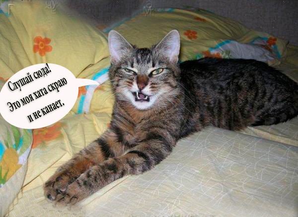 Братаны!