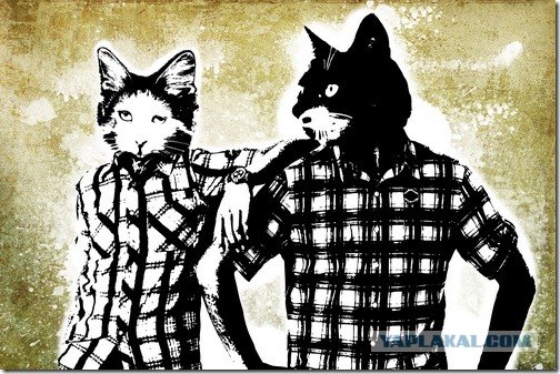 Супер-котофото на котовторник