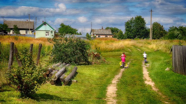 Красота сельских дорог