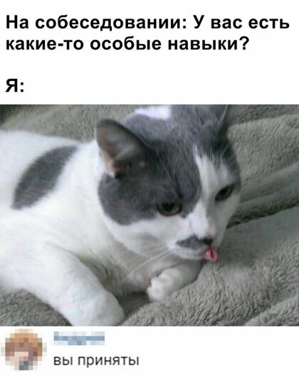 Анекдоты, истории и картинки с надписями