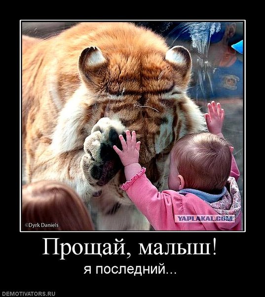 Демки и ностальджи