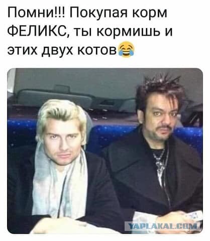 Бредзона 17.01.2020