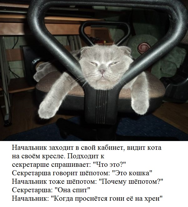 Пост картинок в понедельник 25.05. Всяких разных обо всём