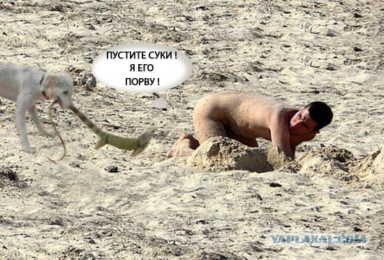 Помощь