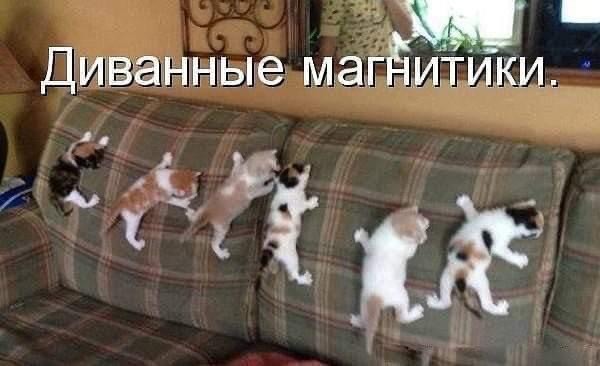 Картинки всякие, 27.08.2020