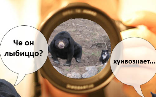 Фотожаба: Шерстяные гопники ))