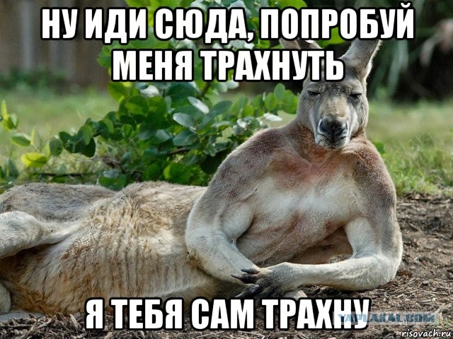 Eжегодная фотосессия австралийских пожарных для календаря