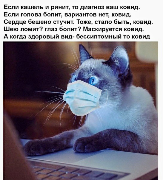 Немного картинок для настроения 20.10.20
