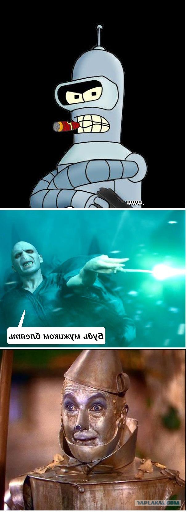 Ярость Волан-де-Морта