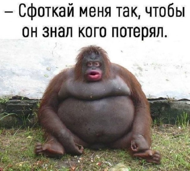 Прикольные и просто красивые картинки 18.11.2020