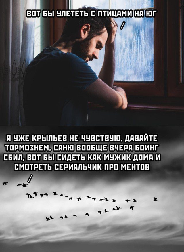 Картинок пост 23.12.2020