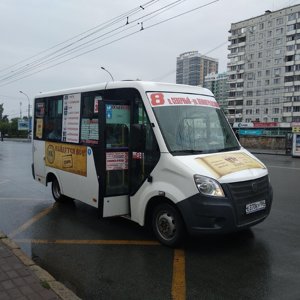 Жительница Новосибирска подралась с кондуктором, которая высадила её дочь из автобуса на мороз