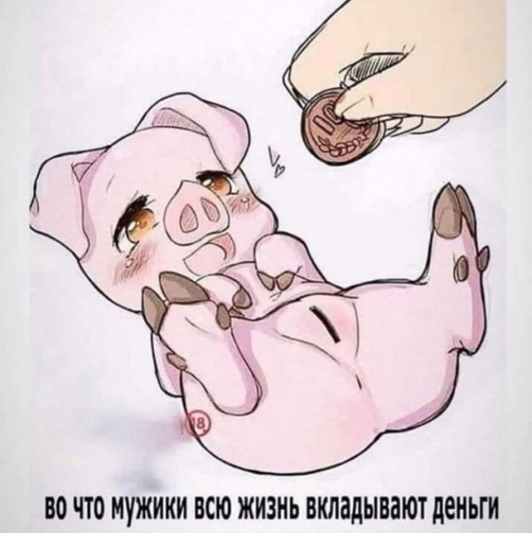 Весёлый полтишок 8.03