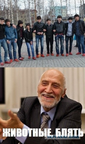 Стоп Хам 64