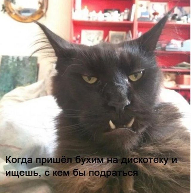 Картинки к пьятнице