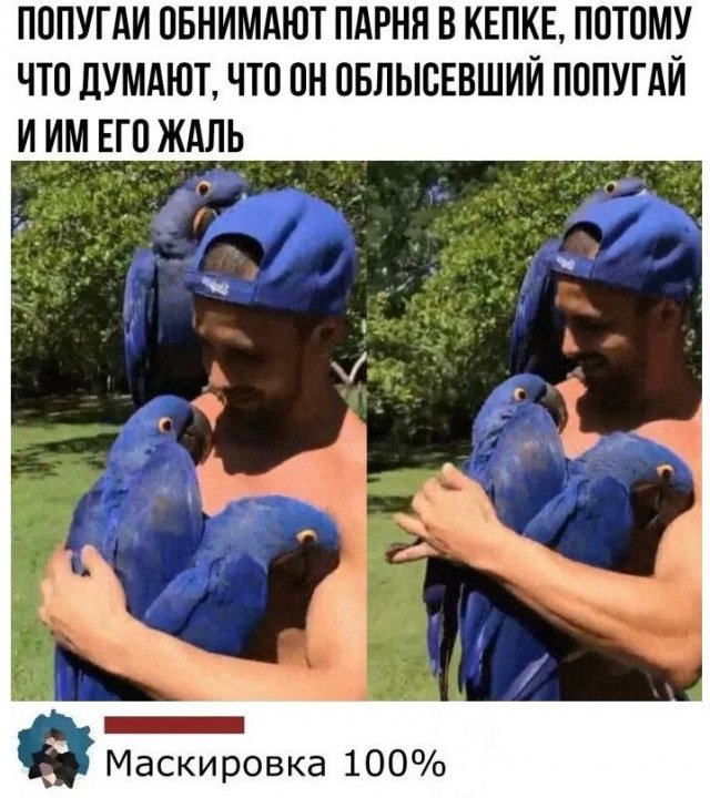 Картинки с надписями и всякие жизненные фразы 5.06.21